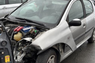 Porte arriere gauche PEUGEOT 206