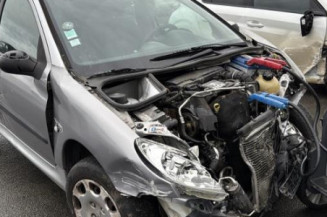 Porte arriere gauche PEUGEOT 206