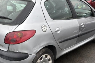 Porte arriere gauche PEUGEOT 206