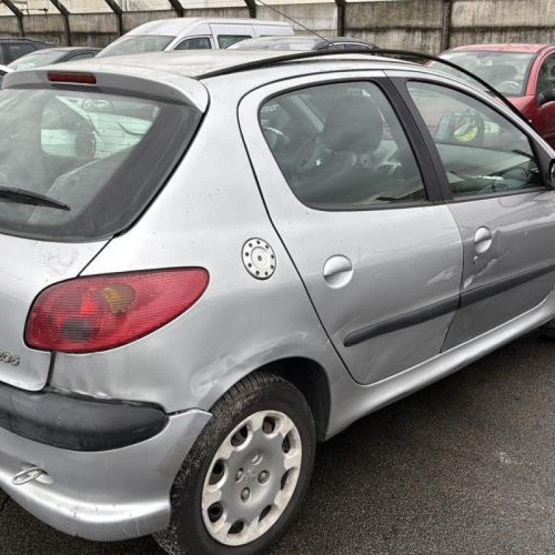 Porte arriere gauche PEUGEOT 206 Photo n°11