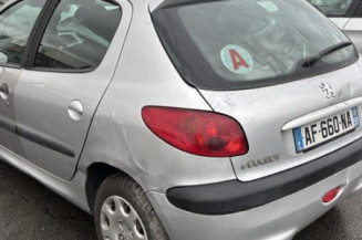 Porte arriere gauche PEUGEOT 206