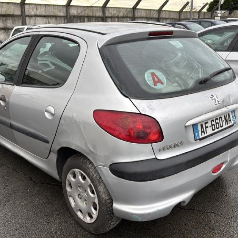 Porte arriere gauche PEUGEOT 206 Photo n°12
