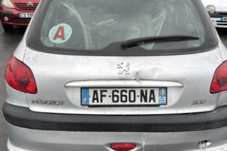 Porte arriere gauche PEUGEOT 206