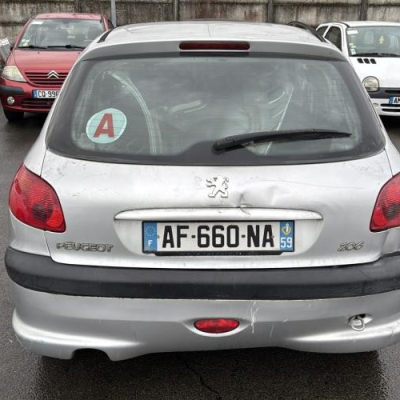 Porte arriere gauche PEUGEOT 206 Photo n°13