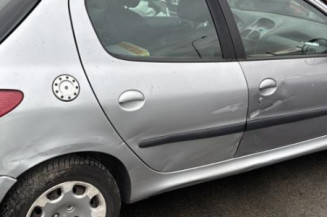 Porte arriere gauche PEUGEOT 206