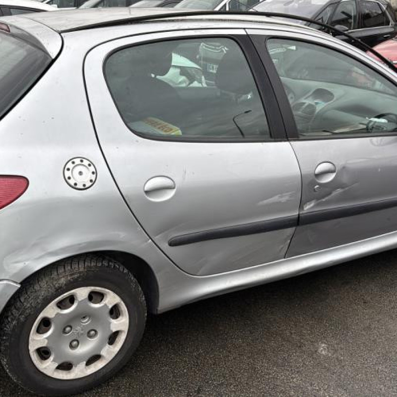 Porte arriere gauche PEUGEOT 206 Photo n°14