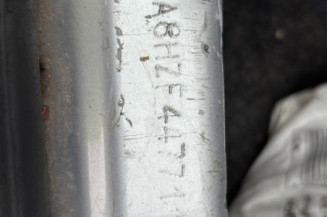 Porte arriere gauche PEUGEOT 206