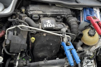 Porte arriere gauche PEUGEOT 206