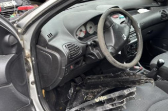 Porte arriere gauche PEUGEOT 206