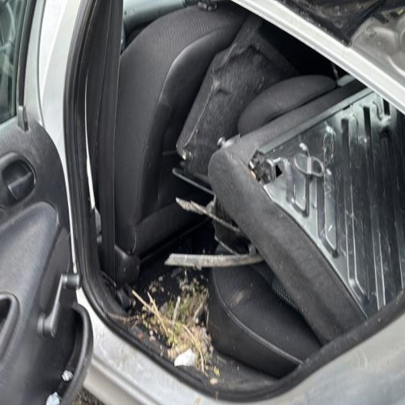Porte arriere gauche PEUGEOT 206 Photo n°20