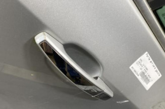 Porte arriere gauche OPEL INSIGNIA 1