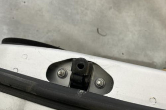 Porte arriere gauche OPEL INSIGNIA 1