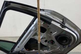 Porte arriere gauche OPEL INSIGNIA 1