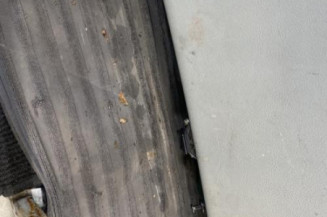 Malle/Hayon arriere RENAULT SCENIC 1