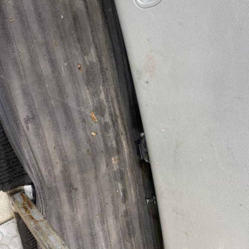 Malle/Hayon arriere RENAULT SCENIC 1 Photo n°13