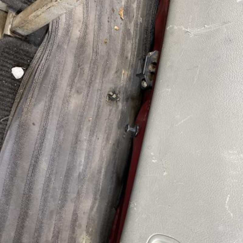Malle/Hayon arriere RENAULT SCENIC 1 Photo n°13