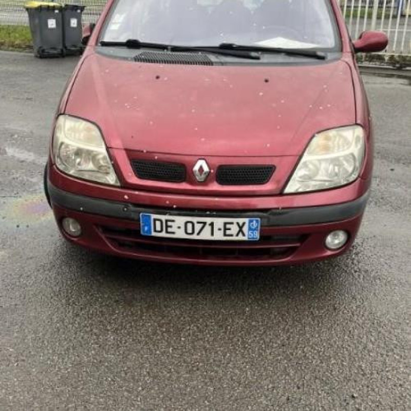 Malle/Hayon arriere RENAULT SCENIC 1 Photo n°15