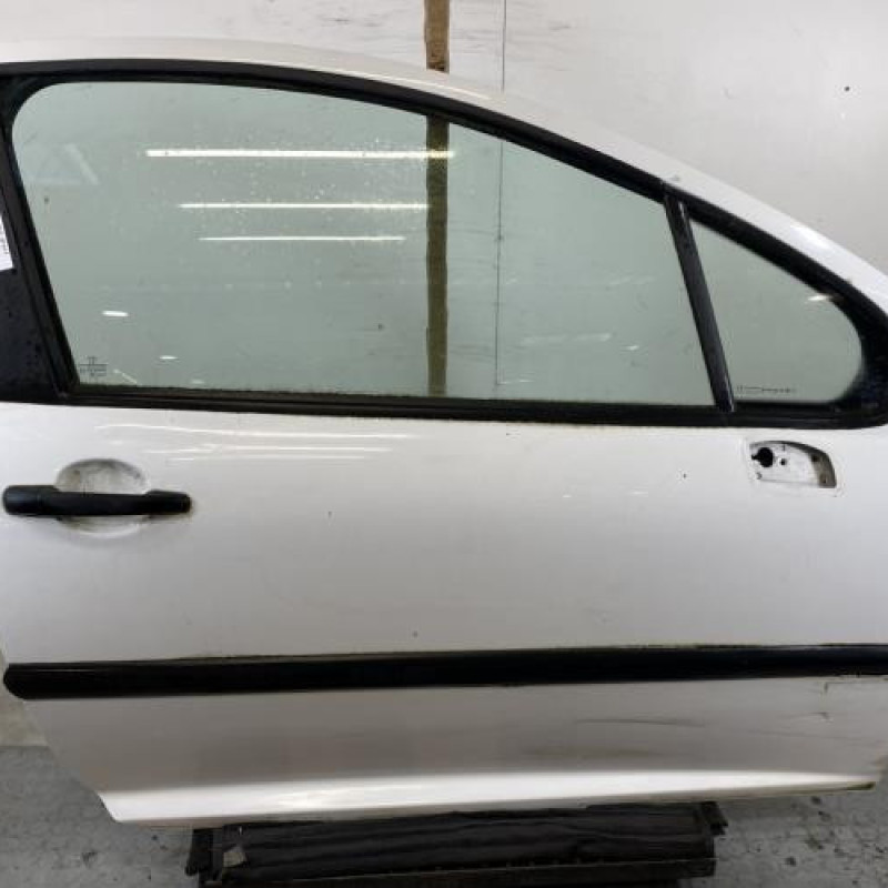 Porte avant droit PEUGEOT 207 Photo n°1