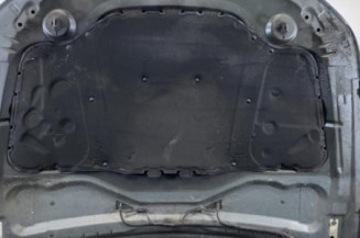 Capot BMW SERIE 5 E60