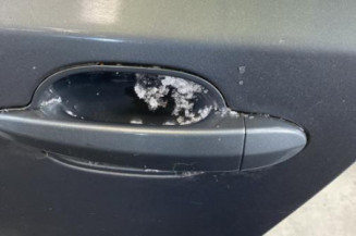 Porte arriere gauche BMW SERIE 5 E60