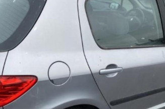 Boitier BSI PEUGEOT 307