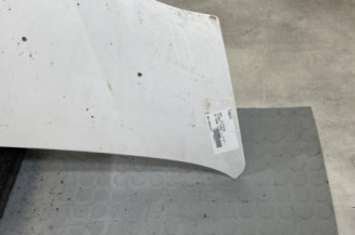 Capot OPEL VIVARO 1