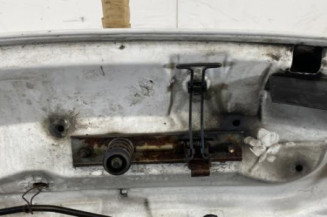 Capot OPEL VIVARO 1