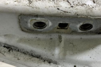Capot OPEL VIVARO 1