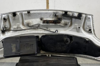Capot OPEL VIVARO 1