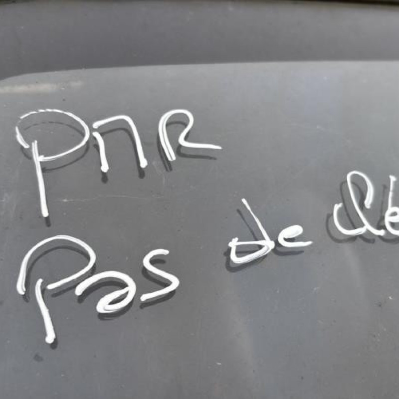 Bouton de warning CITROEN BERLINGO 1 Photo n°12