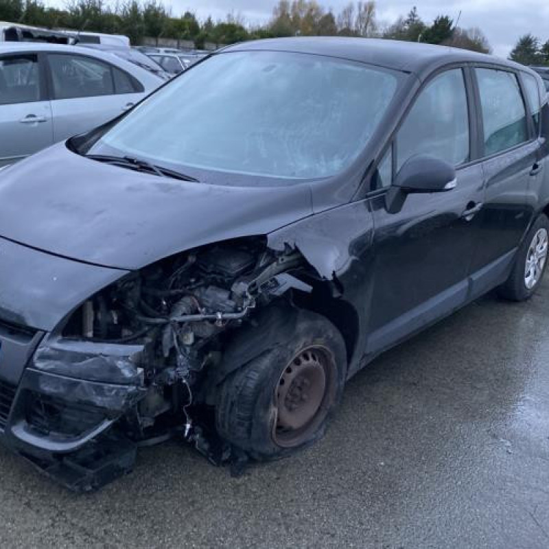 Plage arriere RENAULT SCENIC 3 Photo n°5