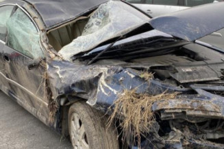 Ecran GPS PEUGEOT 607