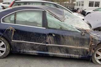 Ecran GPS PEUGEOT 607