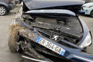 Ecran GPS PEUGEOT 607