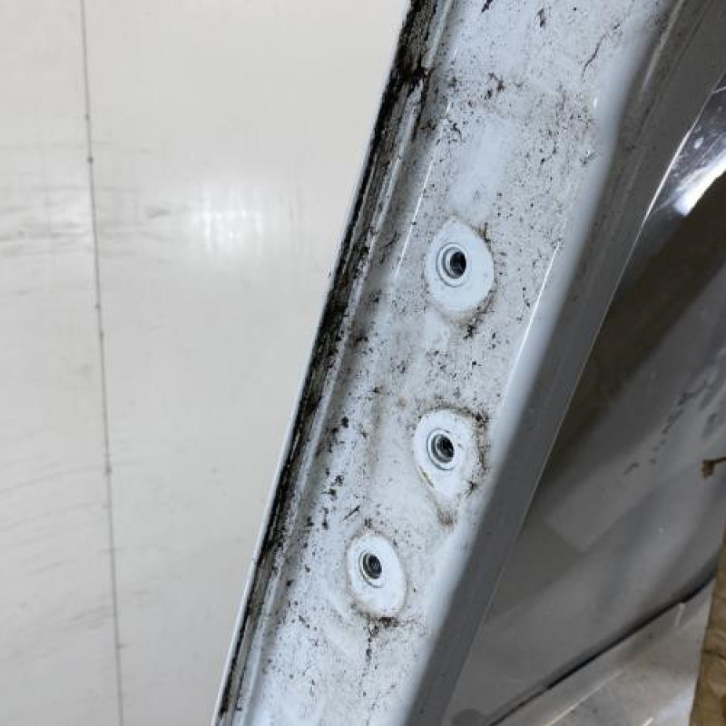 Porte arriere droit OPEL VIVARO 1 Photo n°8