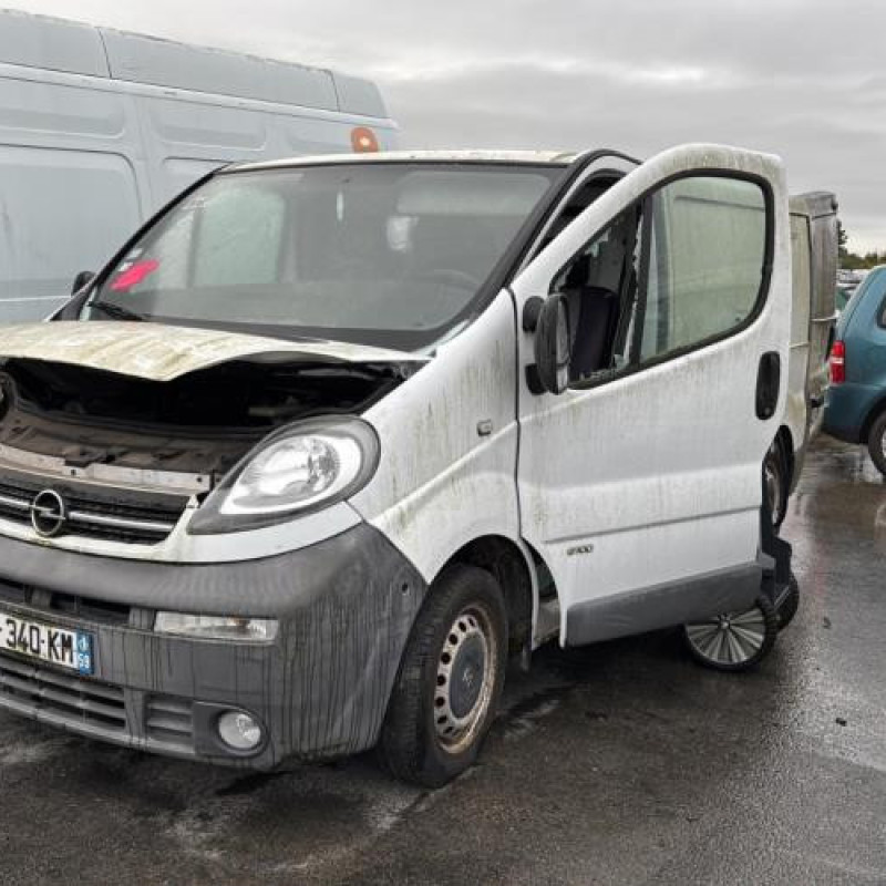 Porte arriere droit OPEL VIVARO 1 Photo n°12