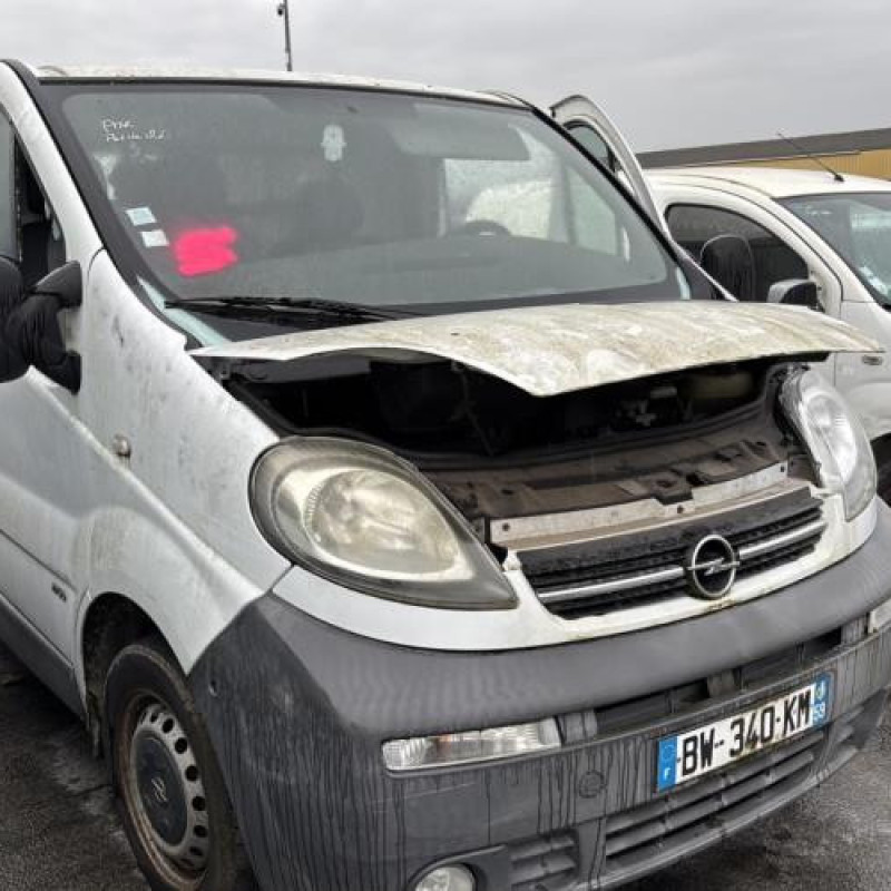 Porte arriere droit OPEL VIVARO 1 Photo n°13