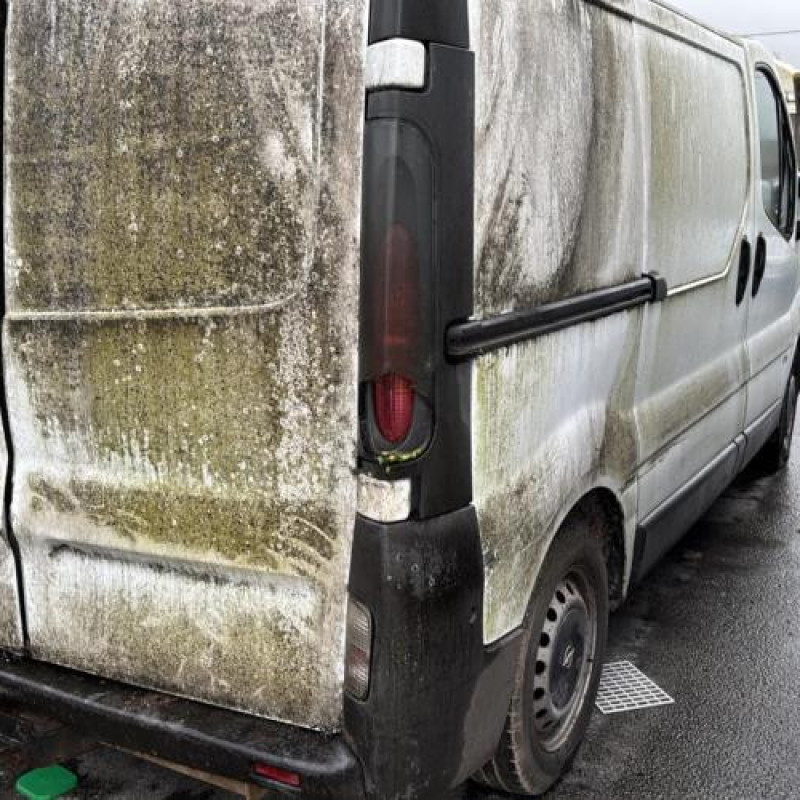 Porte arriere droit OPEL VIVARO 1 Photo n°14