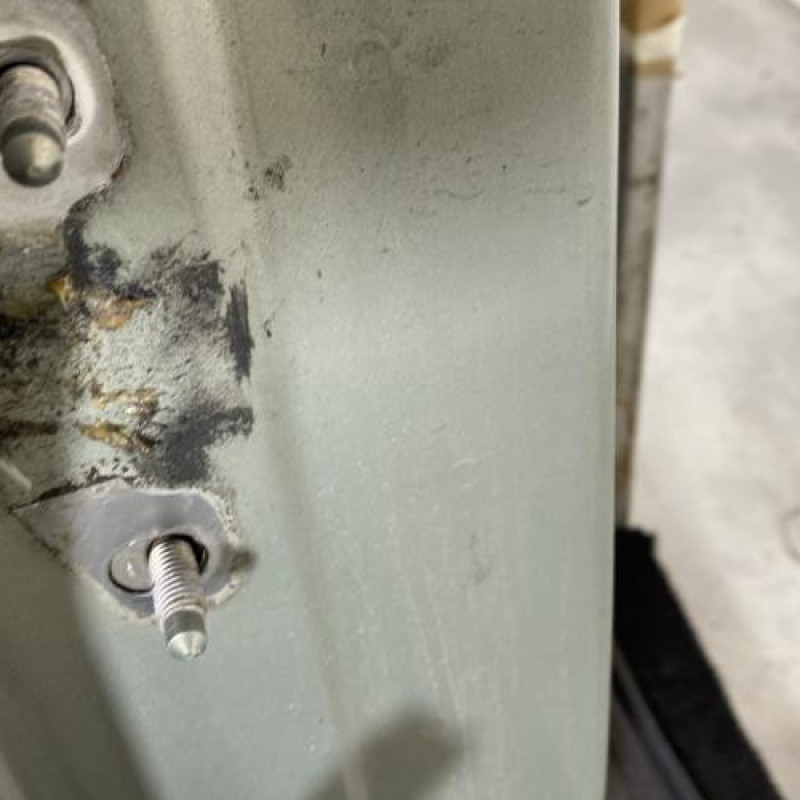 Porte arriere droit DACIA LOGAN 1 Photo n°4