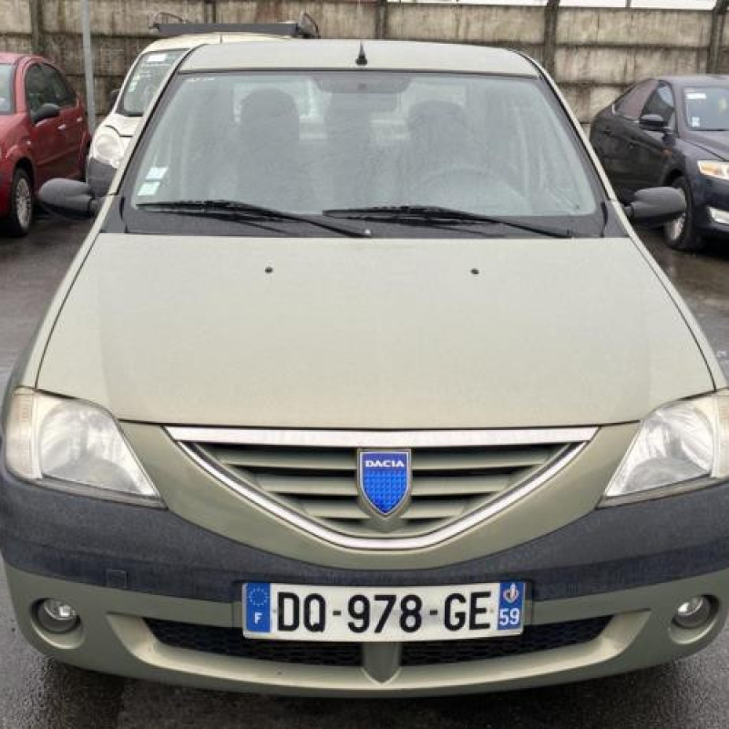 Porte arriere droit DACIA LOGAN 1 Photo n°14