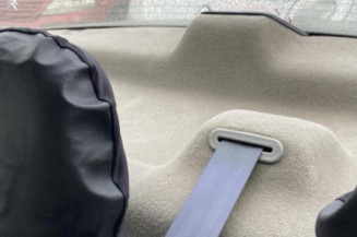 Porte arriere droit DACIA LOGAN 1