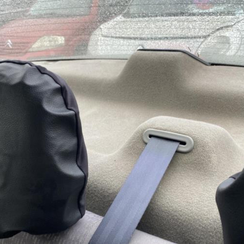 Porte arriere droit DACIA LOGAN 1 Photo n°17