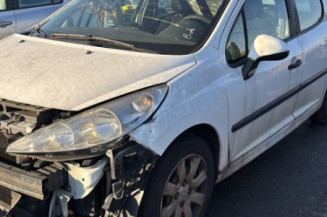 Jante PEUGEOT 207