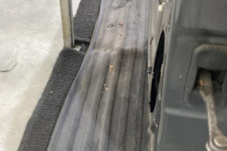 Porte arriere gauche DACIA SANDERO 1