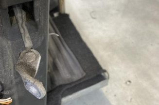 Porte avant droit DACIA SANDERO 1