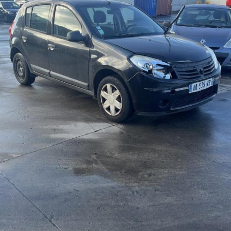 Porte avant droit DACIA SANDERO 1 Photo n°8