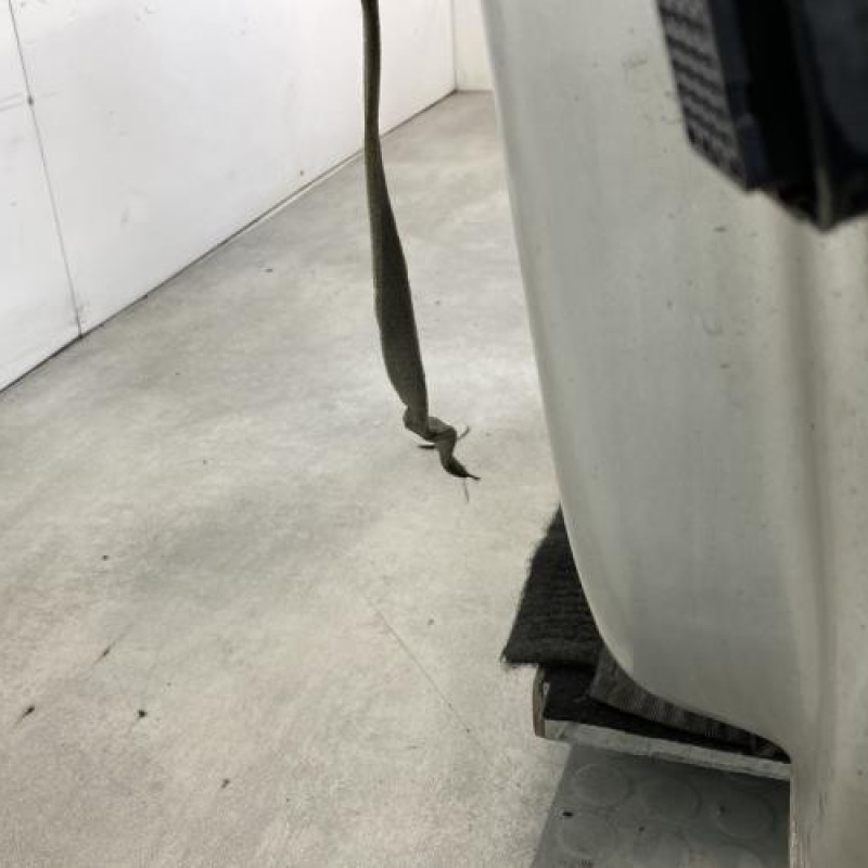 Porte avant gauche RENAULT ESPACE 4 Photo n°6