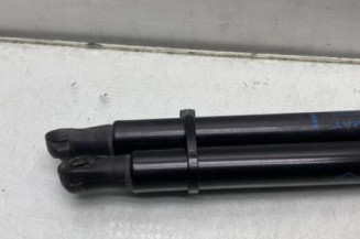 Verin de coffre RENAULT CLIO 5
