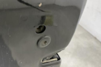 Porte avant gauche RENAULT SCENIC 2