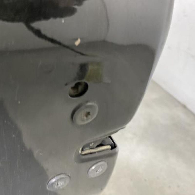 Porte avant gauche RENAULT SCENIC 2 Photo n°3